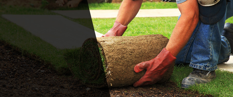 Wilkesboro Landscapers